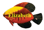 Elizabeth